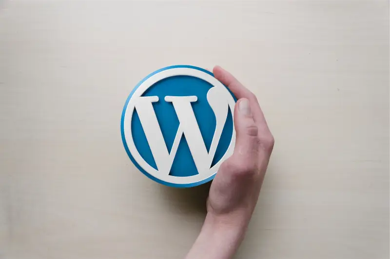 WordPress İçin En İyi Hosting Nasıl Seçilir?